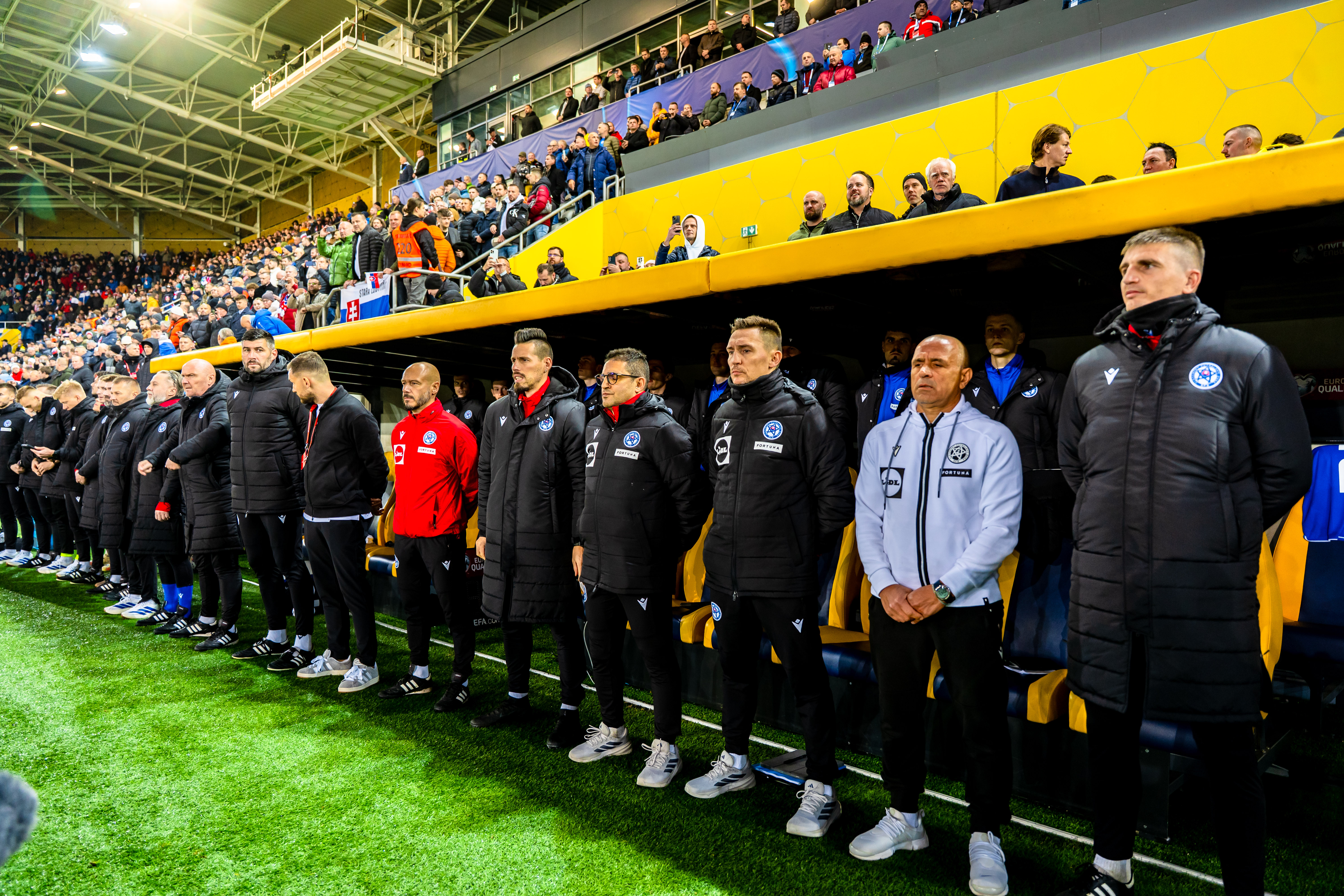 Slovensko vs Severne Irsko-7